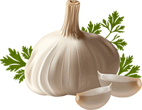 garlic-png