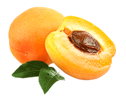 apricot_png12647