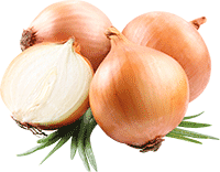 onion_png605