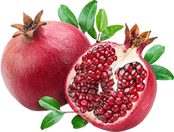 pomegranate_png8647