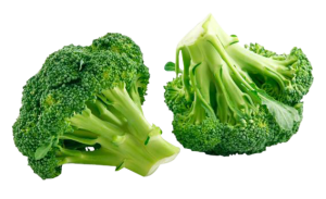 broccoli-png-image_png00237